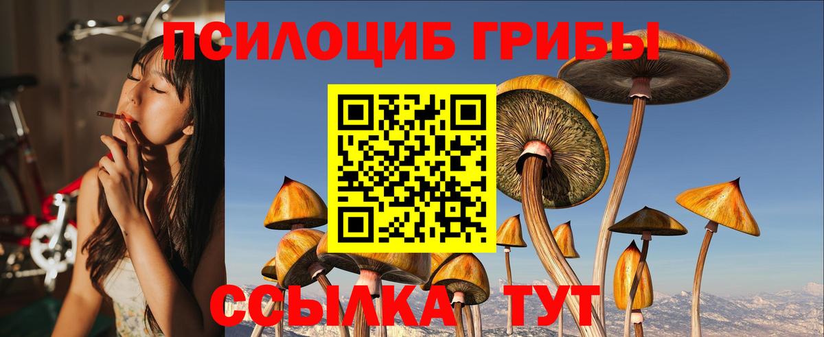 Благодарный  Галлюциногенные грибы MAGIC MUSHROOMS  Вход с VPN 