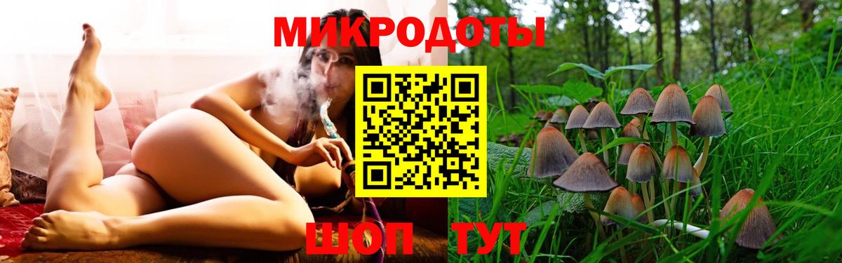 Галлюциногенные грибы Psilocybe Благодарный